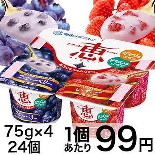 ナチュレ 恵 megumi ブルーベリー＋いちご