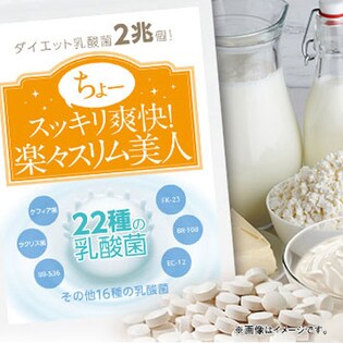 ダイエット乳酸菌2兆個! ちょースッキリ爽快! 楽々スリム美人