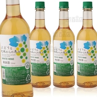 ぶどうと大地からの恵み　白