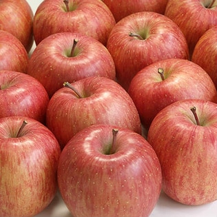 山形県産ふじりんご5kg　※キズ・軸割れあり