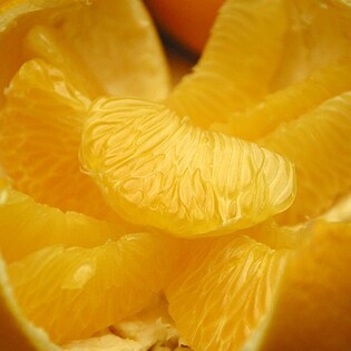 和歌山県産　八朔(はっさく) 3kg