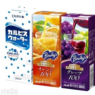 バヤリース ホテルブレックファースト オレンジ100/グレープ100 2種各24本＋カルピスウォーター12本