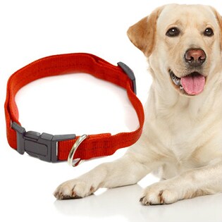 【レッド】クリッカー 首輪 大