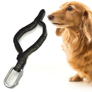 【ローム】クリッカーリーシュ 小