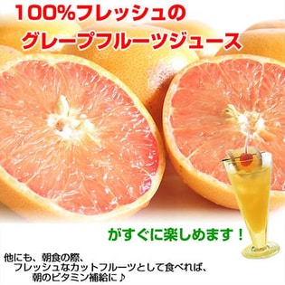 グレープフルーツ 大10玉 フロリダ産 ルビー種を税込 送料込でお試し サンプル百貨店 食卓の花