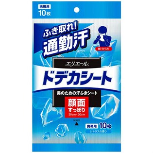 大王製紙 エリエール ドデカシート 携帯用 10枚 ×24パック