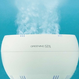 高濃度水素風呂 グリーニングスパ 美顔用洗面ボウル付