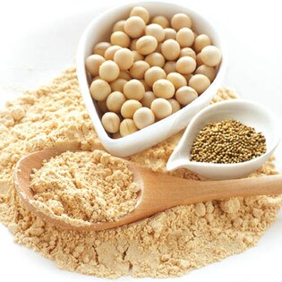 中村食品産業 純日本産 エゴマきな粉 100g 5袋を税込 送料込でお試し サンプル百貨店 株式会社ファミリー ライフ