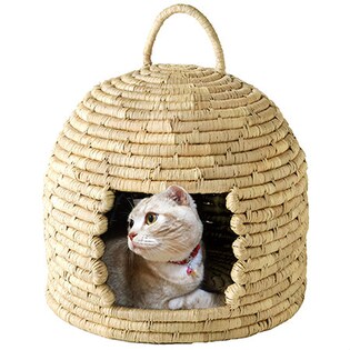 にゃんこのねぐら