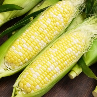 【予約受付】スーパーフルーツとうもろこし ドルチェヘブン 10本(約5kg)
