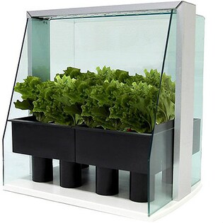 水耕栽培キット ピッコラ (クリア) WF-01C