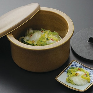 体にやさしい 漬物器 浅漬好房