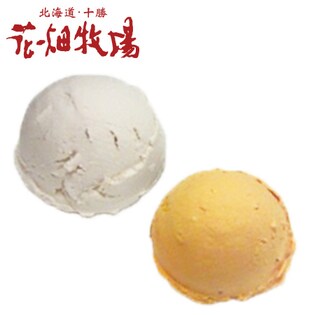 自家製アイス2種(バニラ味・夕張メロン味 各16個)計32個セット