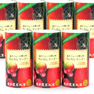 南米からの贈り物 カムカムマンゴー