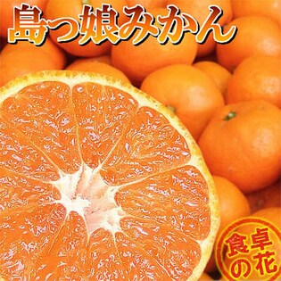 島っ娘みかん 5kg