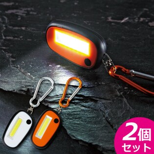 平面発光COBハイパワーLEDライト2個セット