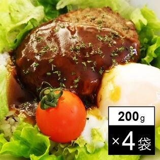 レトルト 野菜入りデミグラスハンバーグ 4袋