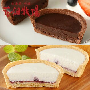 自家製タルト2種セット(レアチーズタルト 〜ハスカップベリー8個、濃厚ガトーショコラタルト5個）