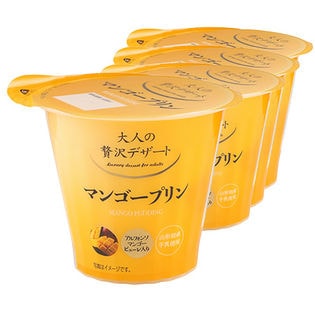 大人の贅沢 マンゴープリン