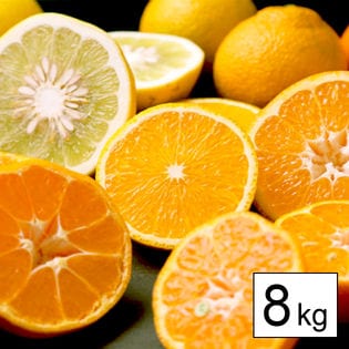 【8kg】愛媛県産柑橘ファミリーセット(詰め合わせ)※ご家庭用(若干の葉傷・コク点あり)