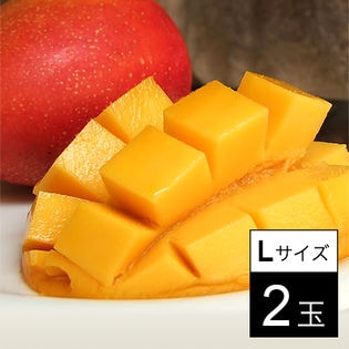 【予約受付】完熟マンゴー宮崎 Lサイズ2玉