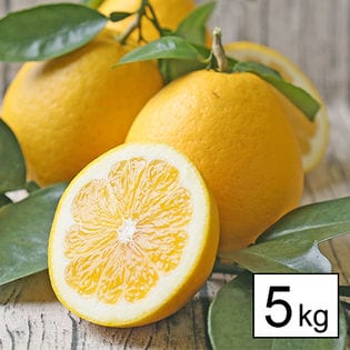 宇和島ゴールド 5kg