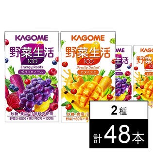 【48本】野菜生活100 エナジールーツ 125ml / フルーティーサラダ 125ml