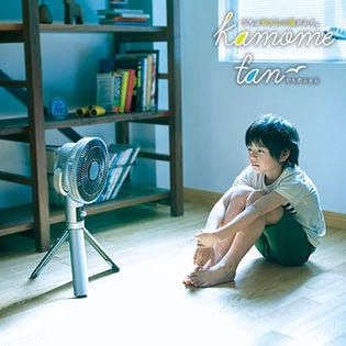 Kamome FKLU-251D(CGD) GOLD FKLU-251D 付属品完備 DCモーター 扇風機