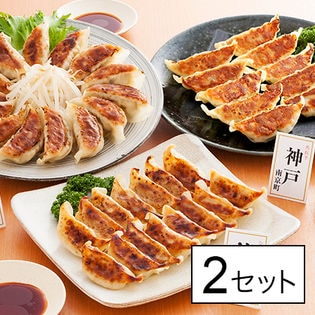 博多・神戸南京町・浜松 人気店の餃子食べ比べ(KF-GT5)