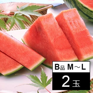 ＜予約受付＞JAみちのく村山尾花沢すいか 2玉 B品 M〜L