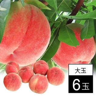 山梨 桃名人笠井農園の桃 大玉6玉