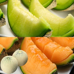 フルーツ メロン食べ比べセット（アンデス＆クインシー）(OCA4267sh)