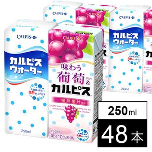 エルビー カルピスシリーズ 2種48本セット カルピスウォーター 味わう葡萄 カルピス を税込 送料込でお試し サンプル百貨店 株式会社セイノー商事
