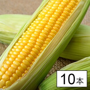 江別 滝農園 フルーツコーン味来 10本