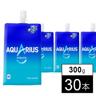 【30本】アクエリアス 300gハンディーパック