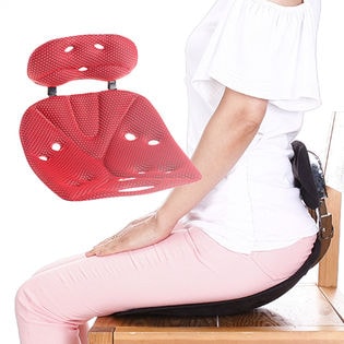 Newエスバック フィットプラス レッドを税込 送料込でお試し サンプル百貨店 ノバック