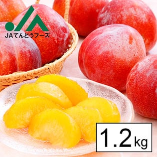 JA共選秀品山形県産プラム秋姫約1.2kg