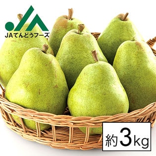 【予約受付】西洋梨バラード 約3kg(玉数おまかせ)