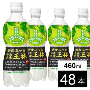 【48本】特産三ツ矢 青森県産王林 PET460ml