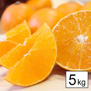 【予約受付】プリンセスまどんな 5kg(家庭用)