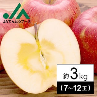 山形県産サンふじりんご約3kg・7～12玉 秀品JA共選品