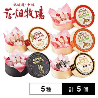 生キャラメル5種5個セット