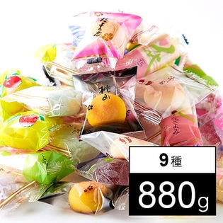 【お徳用】半生和菓子ミックス9種880g（440g×2袋）