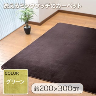 【200×300cm/グリーン】洗えるミンクタッチカーペット
