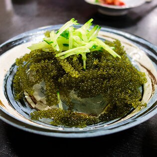 海ぶどう 50g 2袋 シークヮーサー風味タレ2袋 ノンパッケージ ご家庭用 を税込 送料込でお試し サンプル百貨店 九州からの贈り物