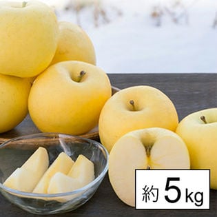 [約5kg]【糖度13度以上】山形県産りんご金将ふじ ※傷シミあり