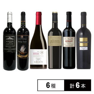 果実味溢れる赤ワイン飲み比べ 6本セット