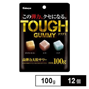 タフグミ 100G×12個