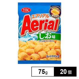 エアリアル ドイツ産岩塩アルペンザルツ使用 しお味 75G×20個