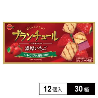 ブルボン ブランチュールミニチョコ濃厚いちご12個